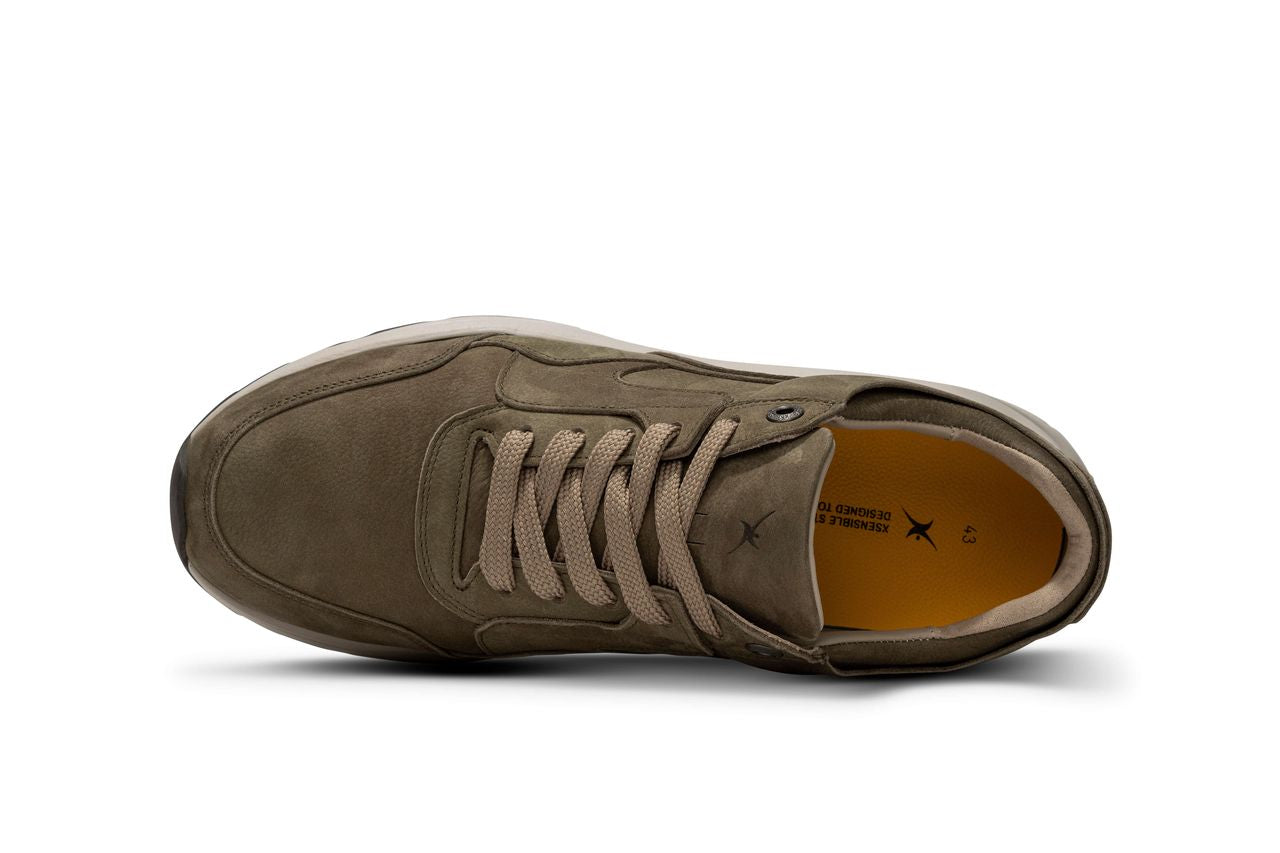 Golden gate Men Moss W25