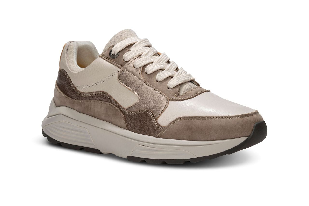 Golden gate Taupe Combi W25