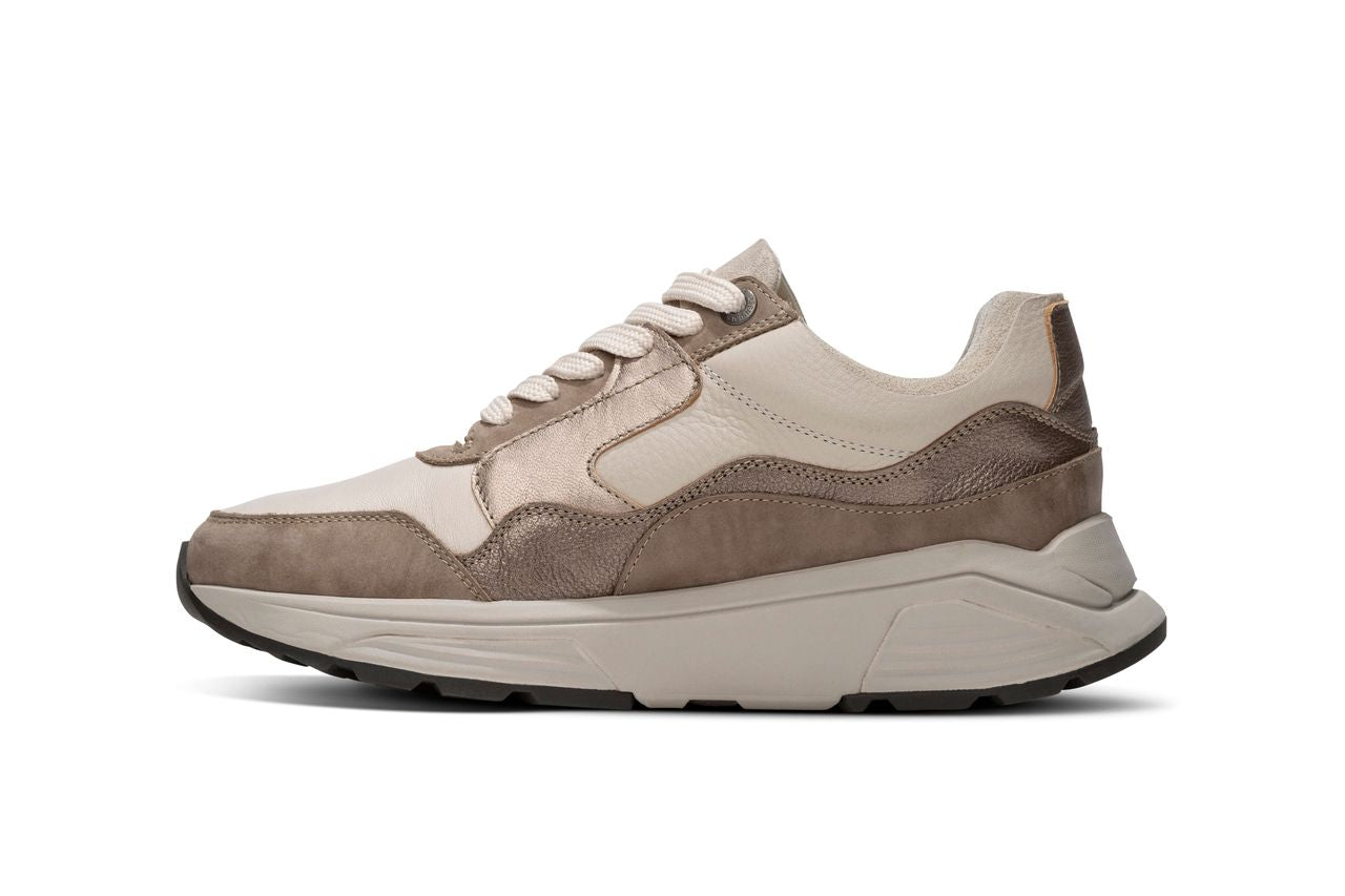 Golden gate Taupe Combi W25