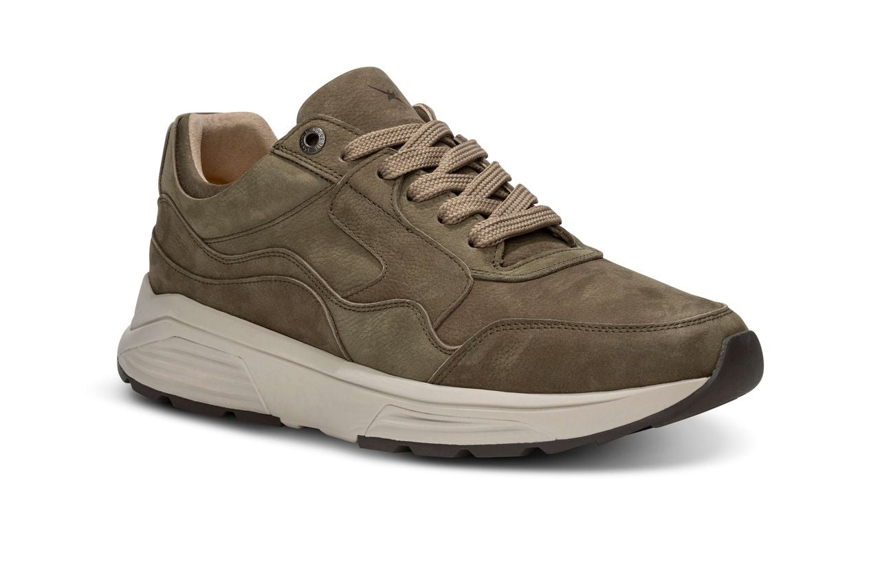 Golden gate Men Moss W25