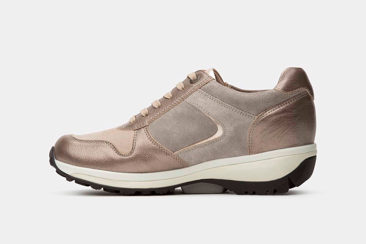 Jersey Women Taupe Combi