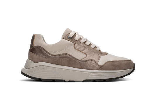Golden gate Taupe Combi W25