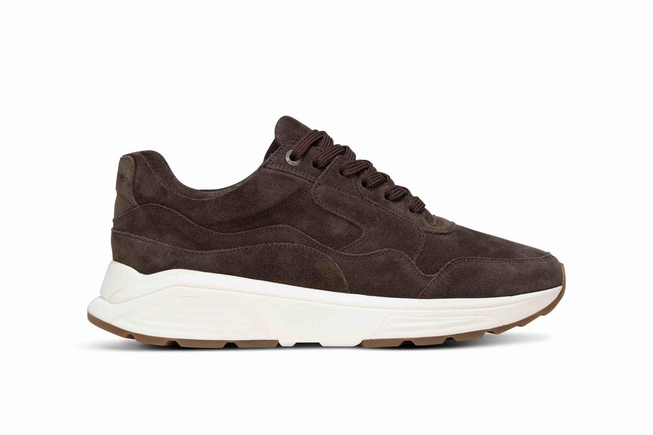 Xsensible Goldn gate men Dark Brown W26