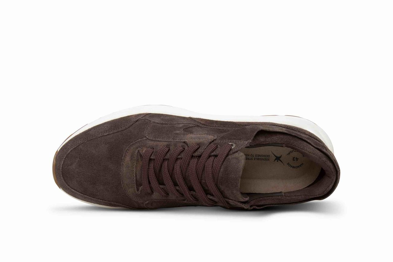 Xsensible Goldn gate men Dark Brown W26