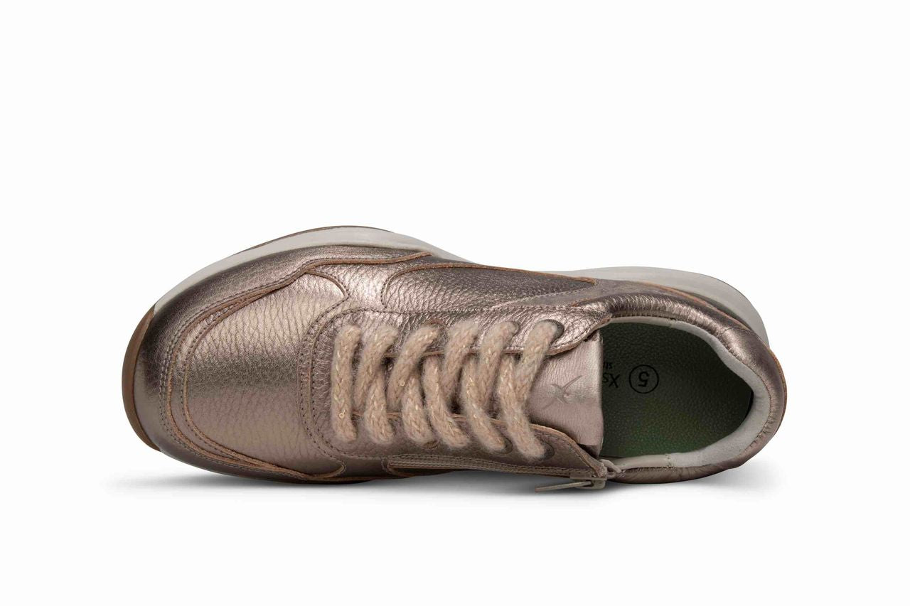 Xsensible SWX27  Lady Champagne W26