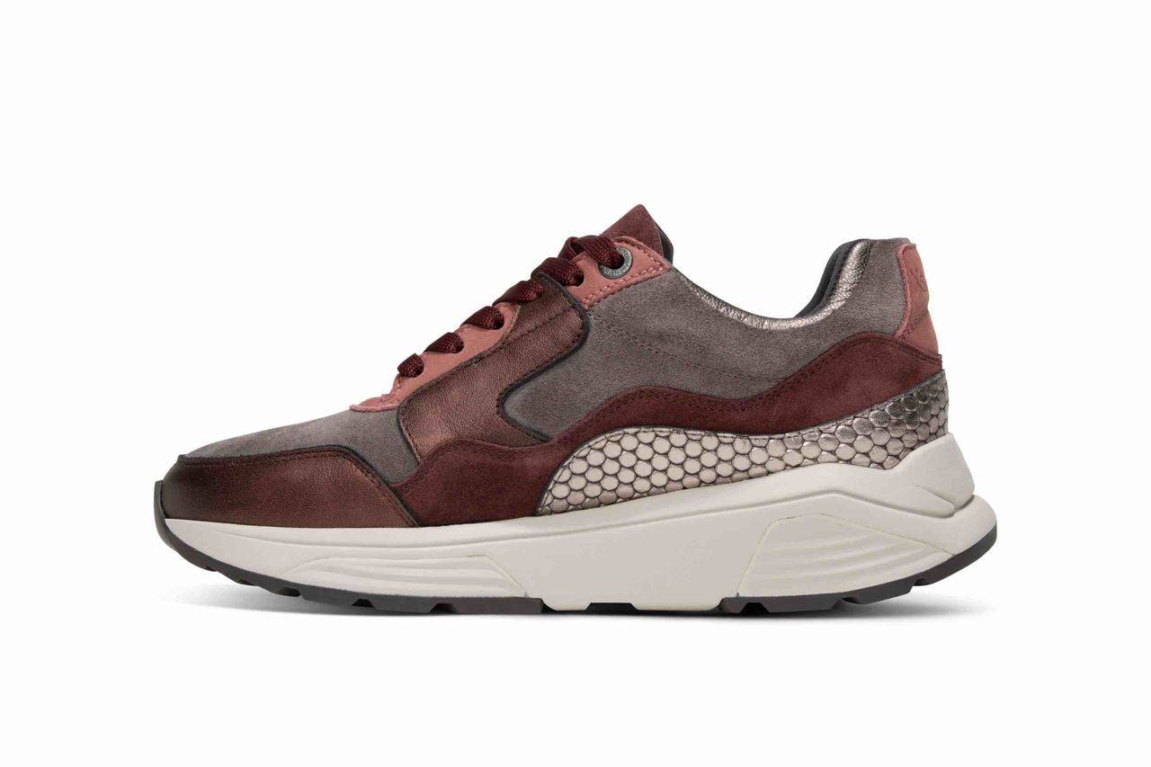 Xsensible Golden gate lady Bordeaux W26
