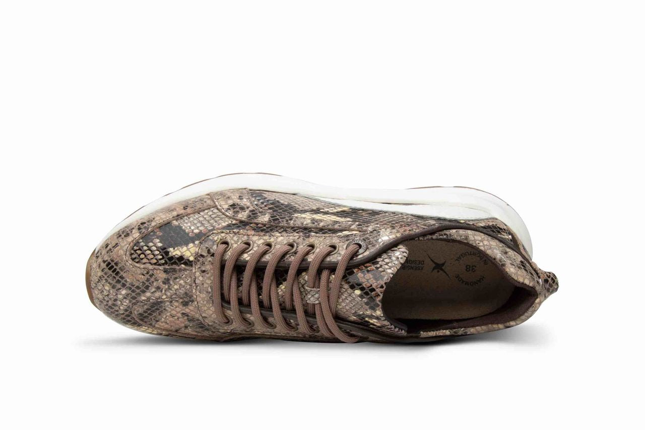 Xsensible Bailey Lady Dark Brown W26