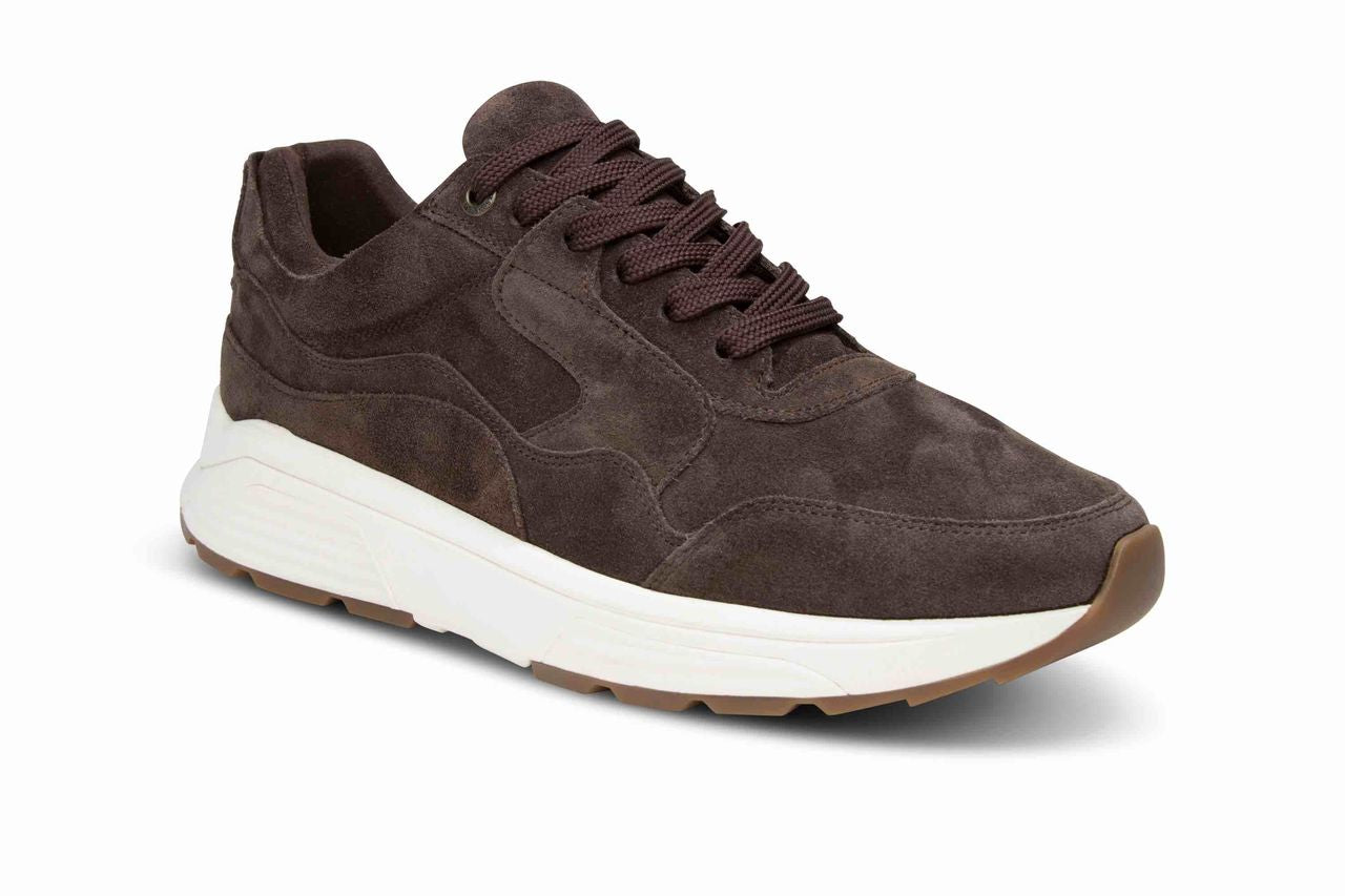 Xsensible Goldn gate men Dark Brown W26